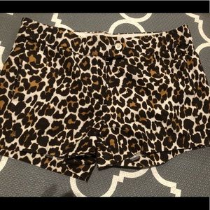 Chic and Classy J Crew Leopard Shorts Size 4 NWOT